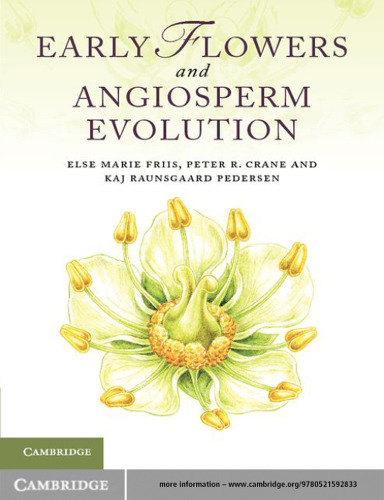 Early Flowers and Angiosperm Evolution  