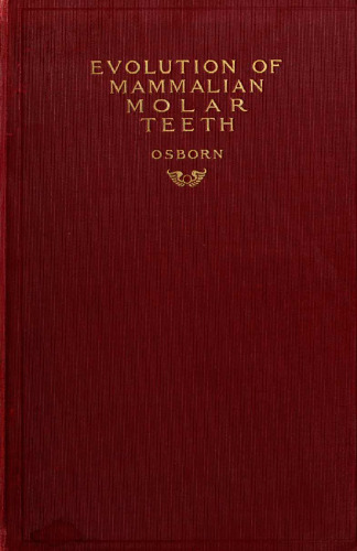 Evolution of Mammalian Molar Teeth