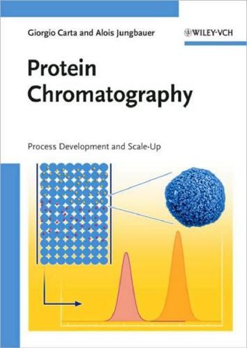 Protein Chromatography: Process Development and Scale-Up
