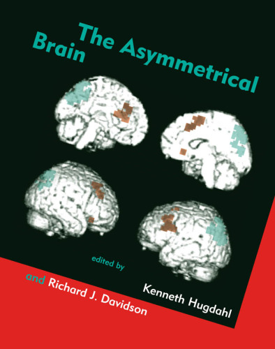 The asymmetrical brain  
