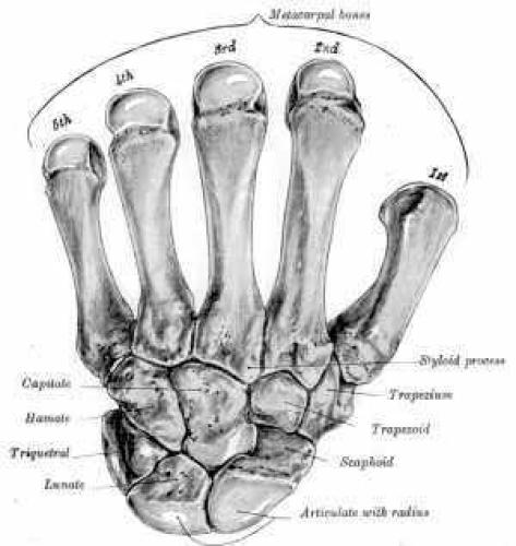 The Probert Encyclopaedia of Medicine  