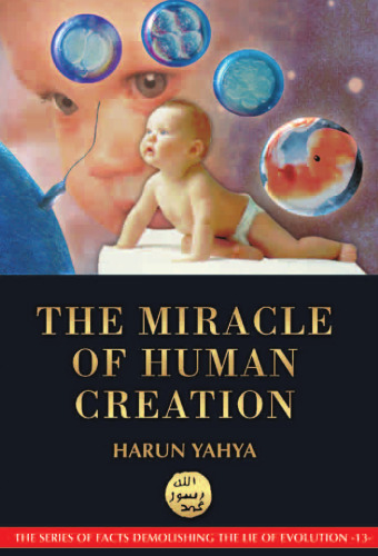 The Miracle of Human Creation  