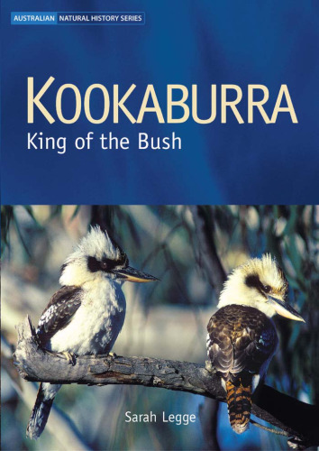 Kookaburra: king of the bush  