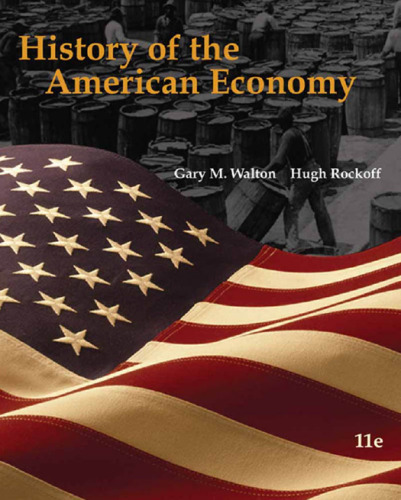 History of the American Economy