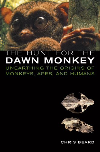 The Hunt for the Dawn Monkey: Unearthing the Origins of Monkeys, Apes, and Humans