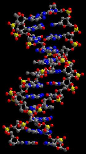 Artificial Intelligence and Molecular Biology