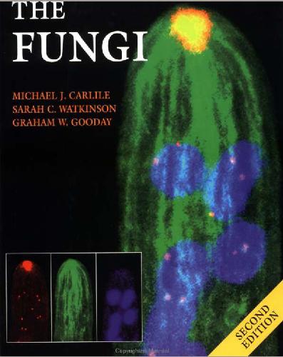 The Fungi