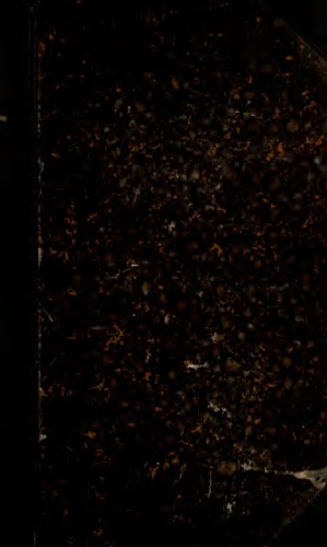 Les lois de l'imitation