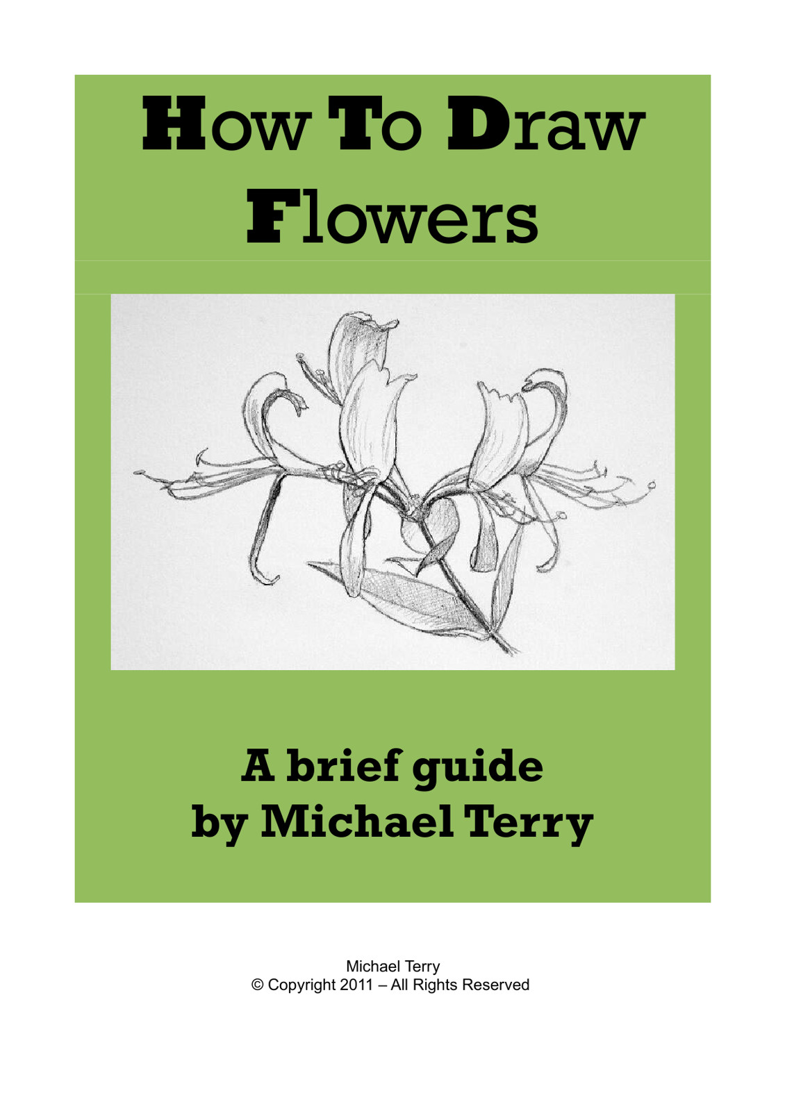 How to Draw Flowers A Brief Guide