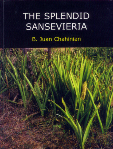 The Splendid Sansevieria