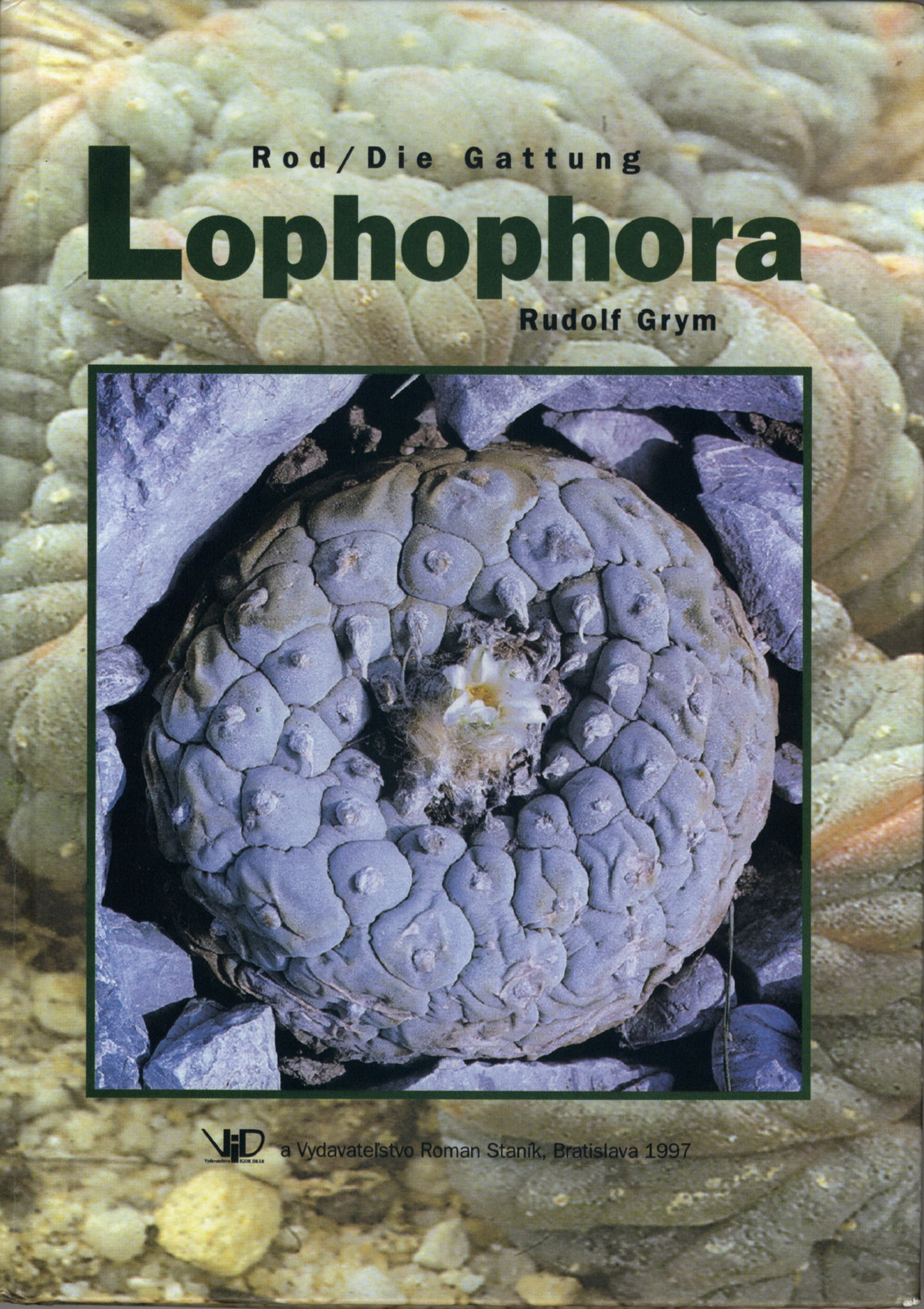 Rod Lophophora