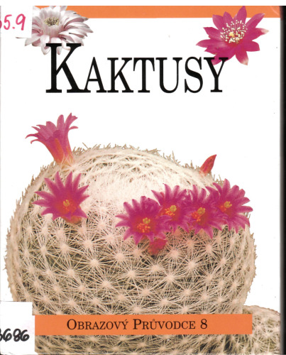 Kaktusy 