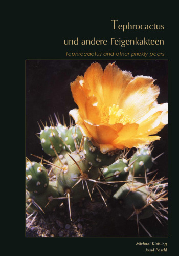Tephrocactus und andere Feigenkakteen