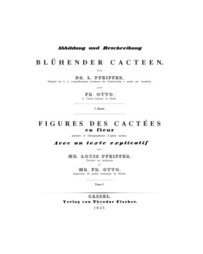 Bluhender Cacteen