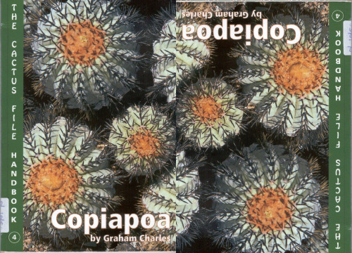 Copiapoa 