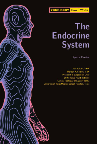 Your Body. How It Works. The Endocryne System