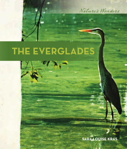 The Everglades