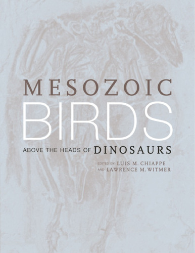 Mesozoic Birds: Above the Heads of Dinosaurs
