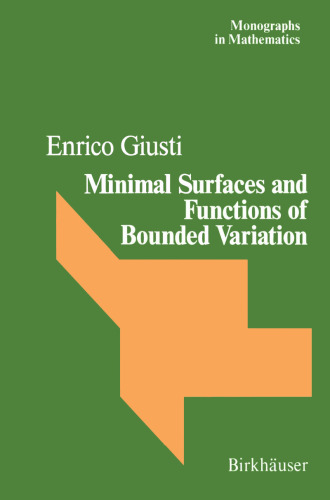 Minimal Surfaces and Functions of Bounded Variation