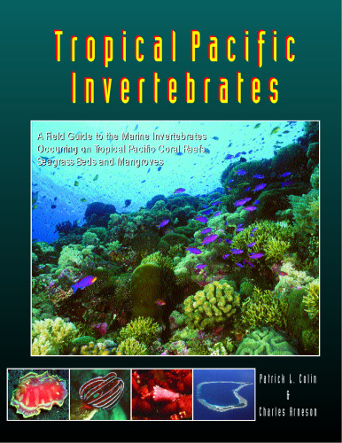 Tropical Pacific Invertebrates