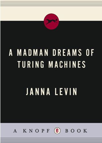 A Madman Dreams of Turing Machines