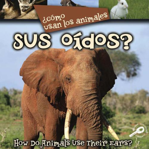 Como Usan Los Animales Sus Oidos?  How Do Animals Use Their Ears?
