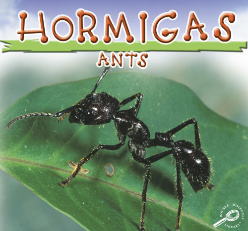 Hormigas Ants