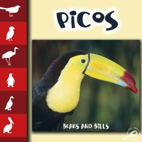 Picos   Beaks and Bills