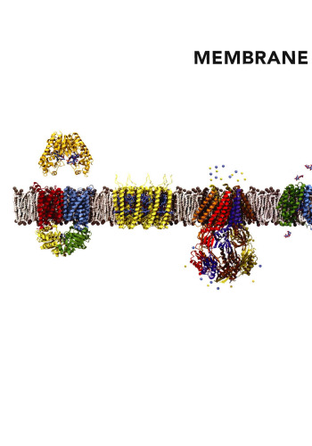 Membrane structural biology: with biochemical and biophysical foundations