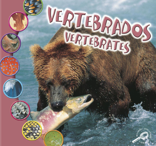 Vertebrados - Vertebrates