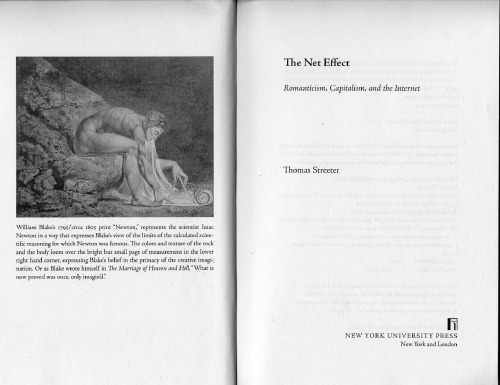 The Net Effect: Romanticism, Capitalism, and the Internet (Critical Cultural Communication)