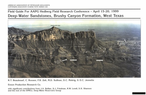 Deep-water sandstones, Brushy Canyon Formation, West Texas (AAPG Course Notes 40)