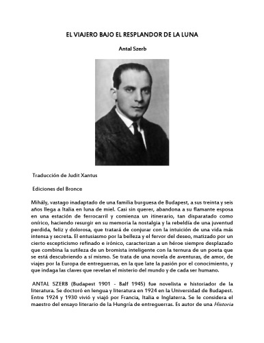 El viajero bajo el resplandor de la luna