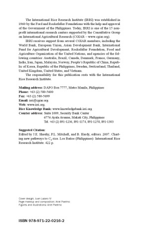 Charting new pathways to C4 rice