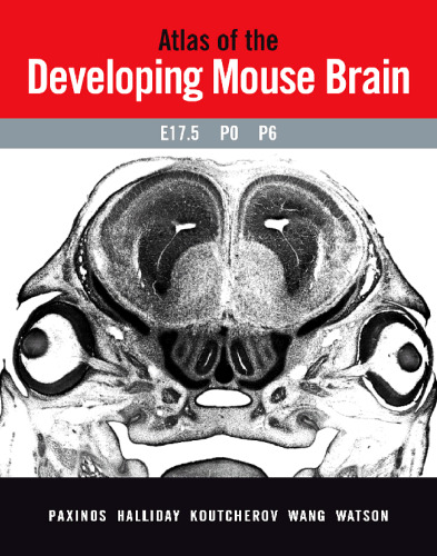 Atlas of the Developing Mouse Brain