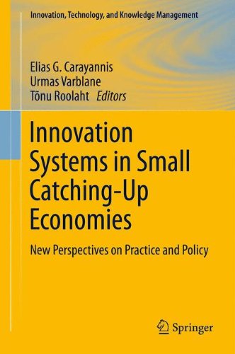 Innovation Systems in Small Catching-Up Economies: New Perspectives on Practice and Policy