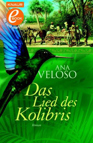 Das Lied des Kolibris (Roman)