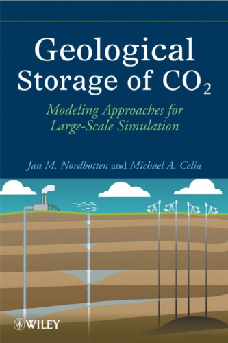 Geological Storage of CO2: Modeling Approaches for Large-Scale Simulation