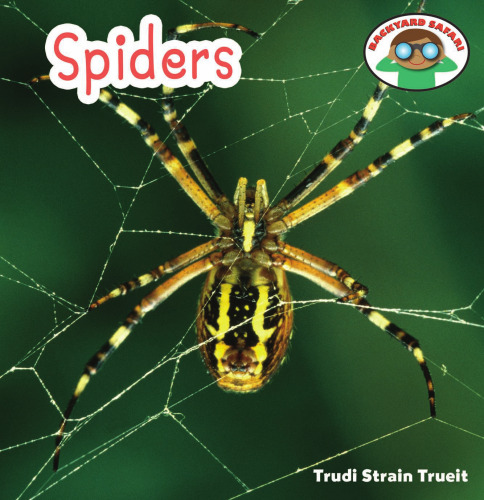 Spiders
