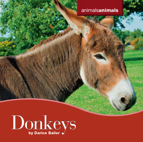 Donkeys