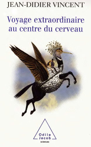 Voyage extraordinaire au centre du cerveau