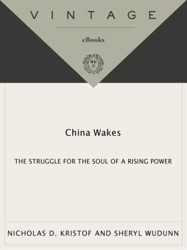 China Wakes: The Struggle for the Soul of a Rising Power