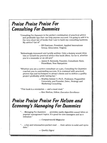 Consulting for Dummies