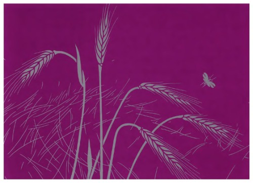 The Second Book of Hope