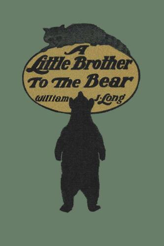 A Little Brother to the Bear