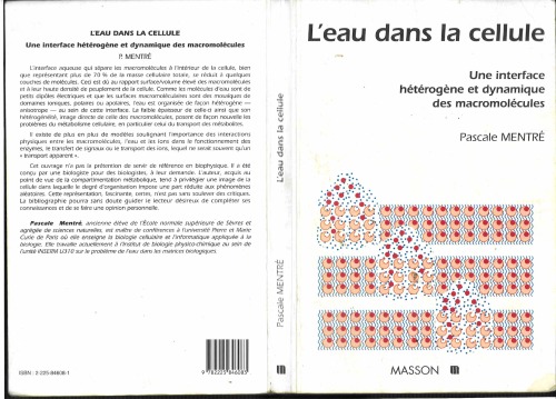 L'Eau dans la cellule: Une interface hétérogène et dynamique des macromolécules
