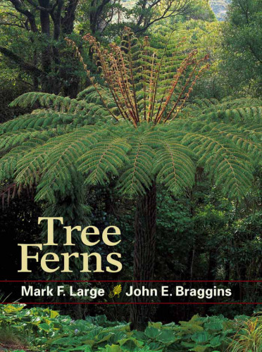 Tree Ferns
