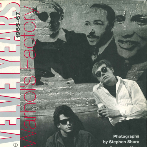 The Velvet Years: Warhol's Factory 1965-67