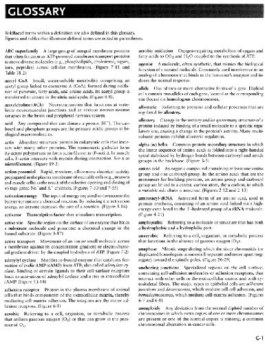 Molecular Cell Biology. Glossary and index