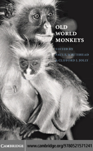 Old World Monkeys